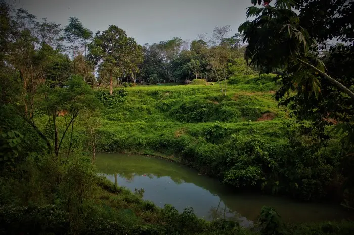 Kebun Binatang Medan, Destinasi Wisata Edukasi Favorit dengan Beragam Wahana Permainan