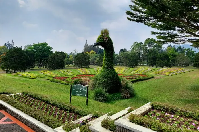 Taman Bunga Nusantara, an International Class Flower Garden Paradise at the Foot of Mount Gede