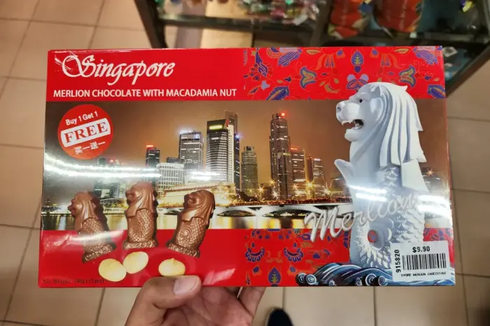 Must-Bring Home Souvenirs from Singapore, From Snacks to Unique Souvenirs