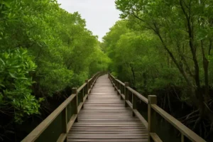 Wisata Hutan Mangrove di Indonesia: Segar, Asri, dan Instagramable!