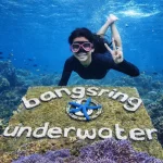 Bangsring Underwater Banyuwangi: Wisata Laut Edukatif dengan Snorkeling, Hiu, & Rumah Apung
