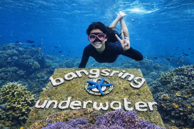 Bangsring Underwater Banyuwangi: Wisata Laut Edukatif dengan Snorkeling, Hiu, & Rumah Apung